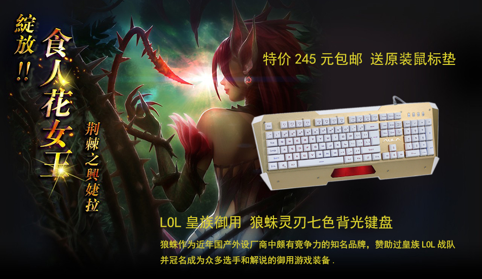 中原电子竞技馆(主板,固态硬盘,显卡)